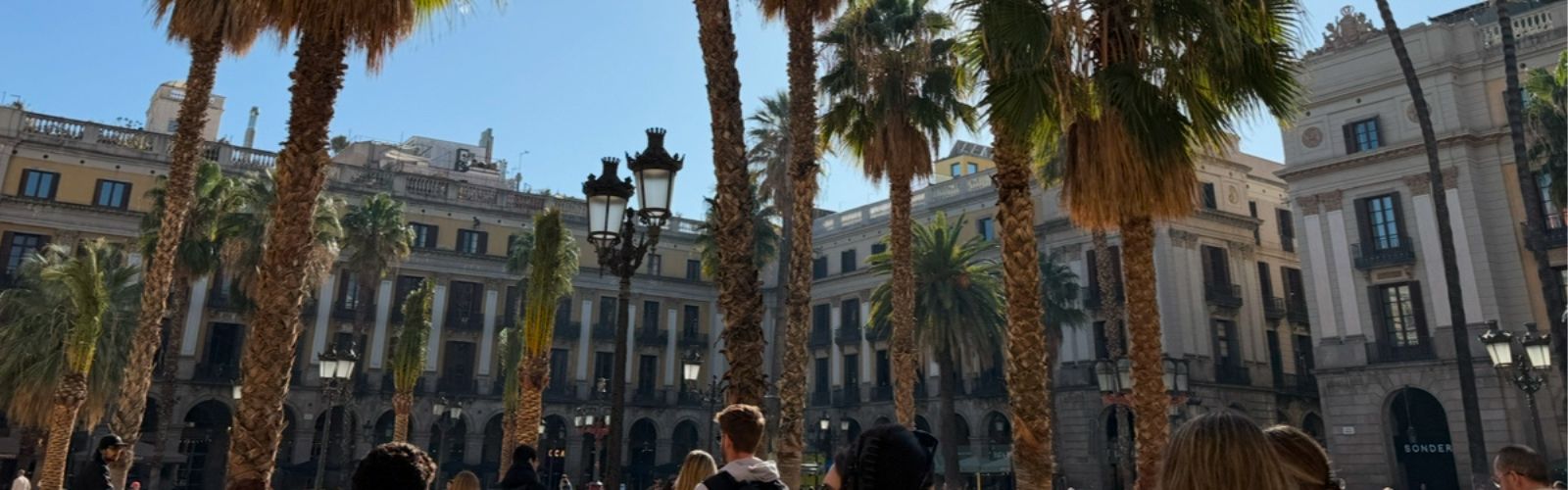 Image of historic stone buildings in Gothic quarter of Barcelona, with palms tree in the foreground, and heads from a group of students visible in the bottom of the frame as they stand in the central plaza